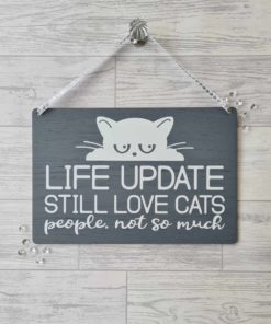 life update cat