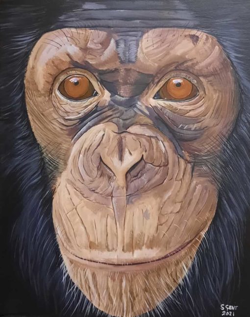 Original Painting Chimp