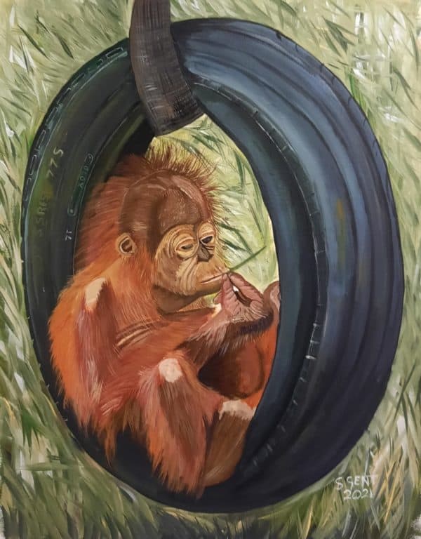 Original Painting of an Orangutan