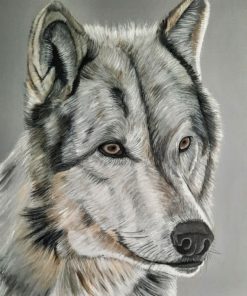 Original Painting of a Wolf