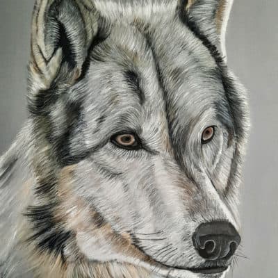Original Painting of a Wolf