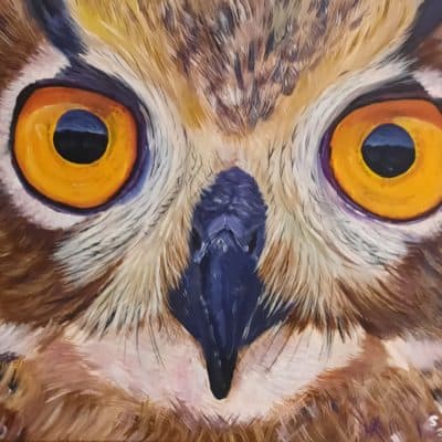 Owl Painting Original