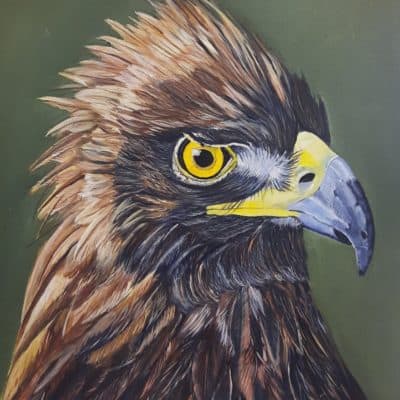 Original painting Golden Eagle