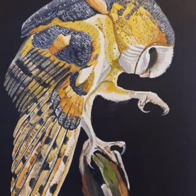 Original painting Barn Owl