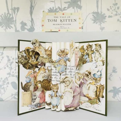 7412686 Tom Kitten Book Sculpture 0