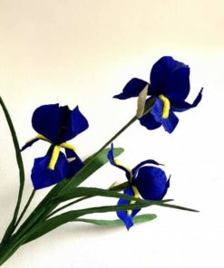 7737025 Blue Paper Irises 0