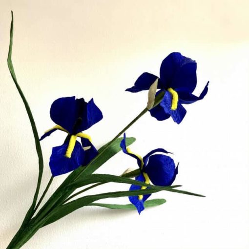 7737025 Blue Paper Irises 0