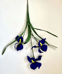 7737025 Blue Paper Irises 1