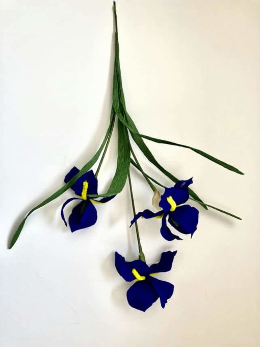 7737025 Blue Paper Irises 1