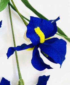 7737025 Blue Paper Irises 2