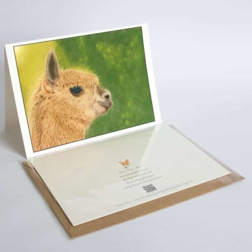 Alpaca greeting card by Alan Taylor Art