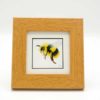 Bee small framed art by Alan Taylor Art