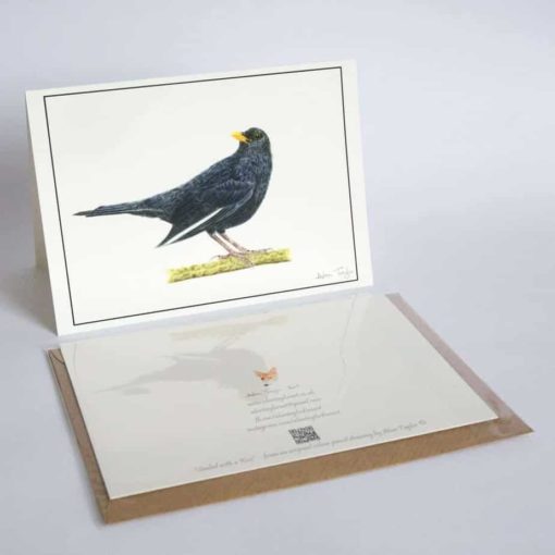 Blackbird greeting card by Alan Taylor Art