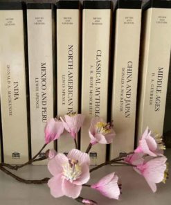 Blossom and books 1