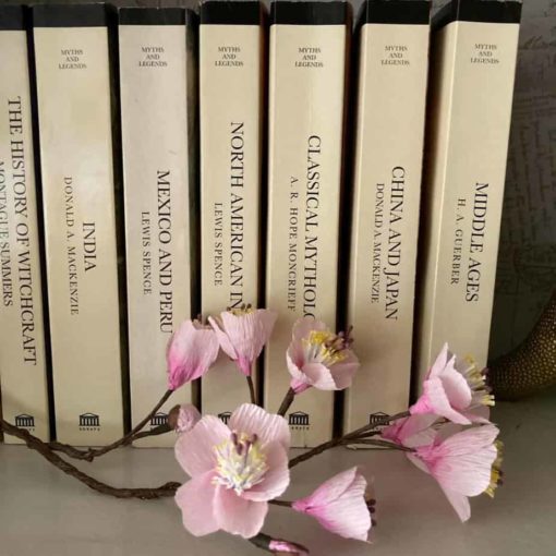 Blossom and books 1