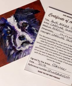 Border Collie ACEO Certificate of Authenticity