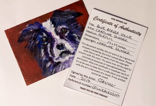 Border Collie ACEO Certificate of Authenticity