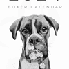 Boxer Calendar 2024