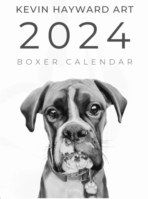 Boxer Calendar 2024