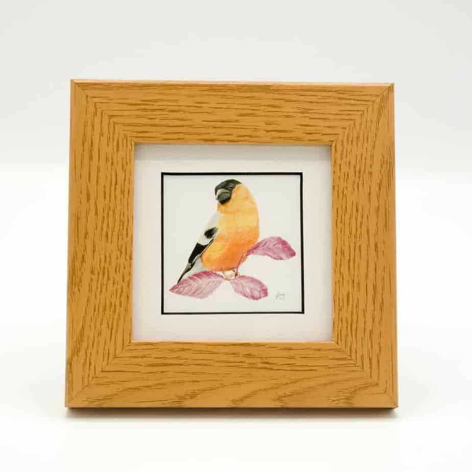 Bullfinch small framed art by Alan Taylor Art