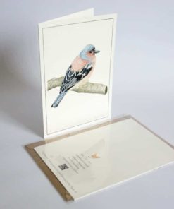 Chaffinch greeting card by Alan Taylor Art