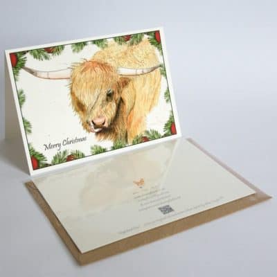 Highland cow chroistmas greeting cards by Alan Taylor Art