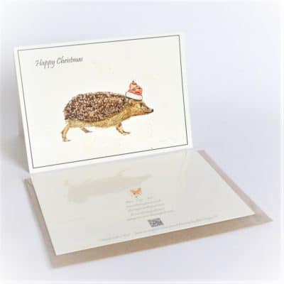 Hedgehog Christmas Cards