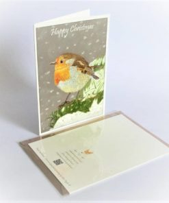 Robin Christmas Cards Set