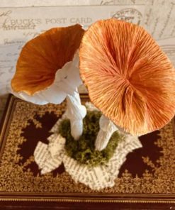 Crepe paper flat topped mushrooms
