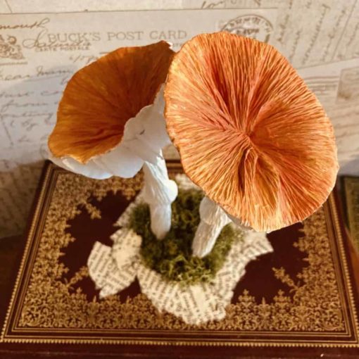 Crepe paper flat topped mushrooms