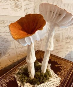 Paper Mushrooms