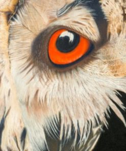 Eagle Owl print Alan Taylor Art