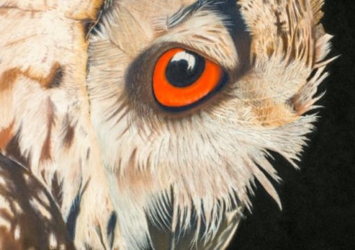 Eagle Owl print Alan Taylor Art