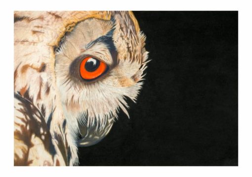 Eagle Owl Giclee Print by Alan Taylor Art