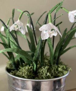 Everlasting Flowers Paper snowdrops in a bucket 1