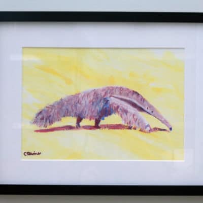 Anteater Original Acrylic Painting