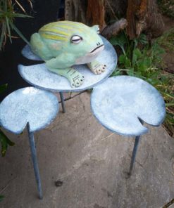 Frog on lily pad
