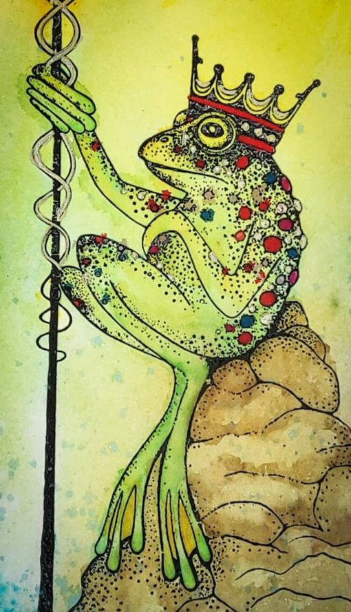 Frog on stones art