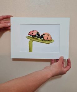 Gift for Ladybird lover, nature print, wildlife art by Alan Taylor Art