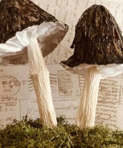 Hairy Mushrooms made of paper