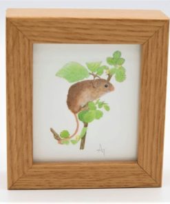 Harvest Mouse Miniature Print in a box frame Alan Taylor Art