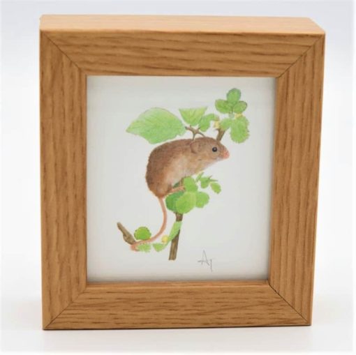 Harvest Mouse Miniature Print in a box frame Alan Taylor Art