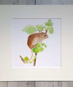 Harvest Mouse giclee print by Alan Taylor Art