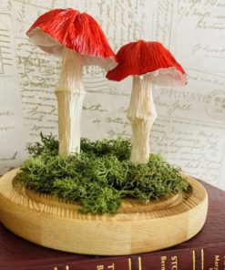 Red Paper Mushrooms