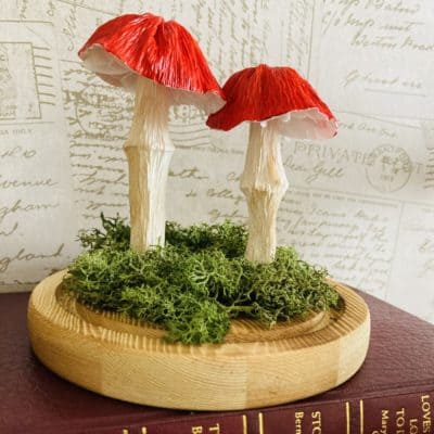Red Paper Mushrooms