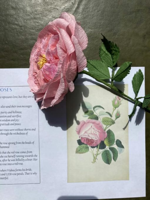 paper rose