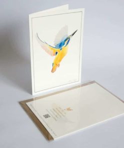 Kingfisher greeting card by Alan Taylor Art