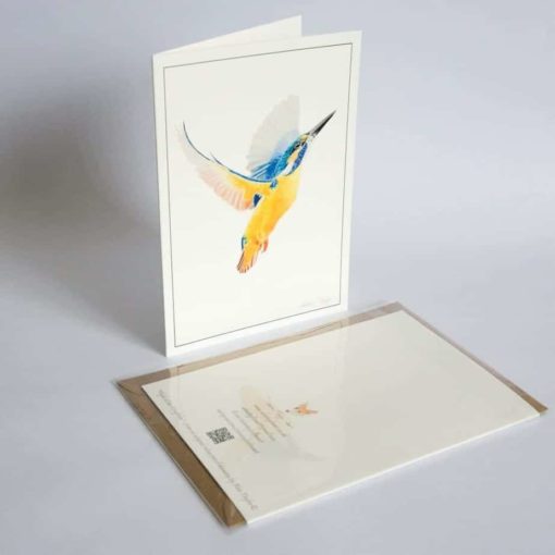 Kingfisher greeting card by Alan Taylor Art