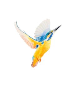 Kingfisher giclee print by Alan Taylor Art