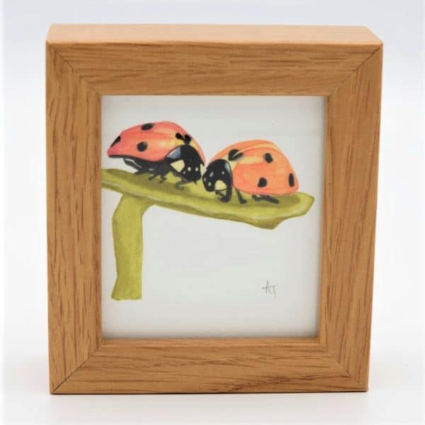 Ladybird, Lovebug Miniature Print in a box frame Alan Taylor Art